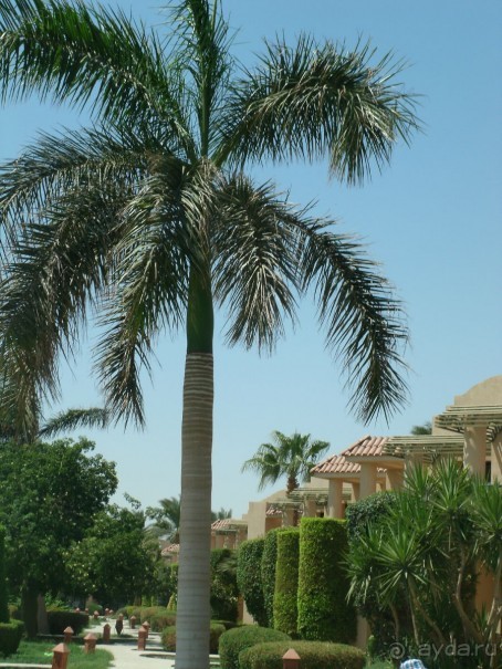 А мы в восторге