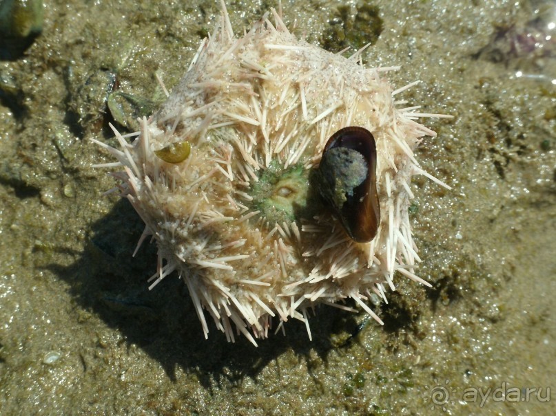 А мы в восторге