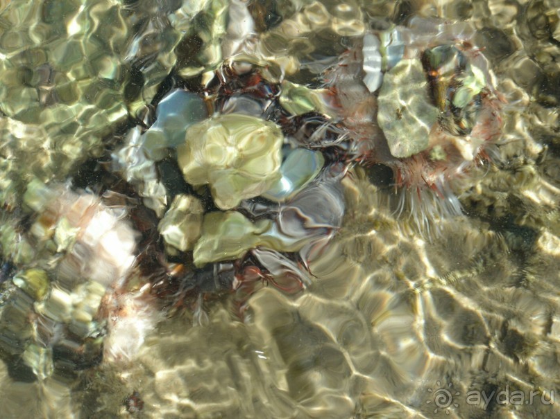 А мы в восторге