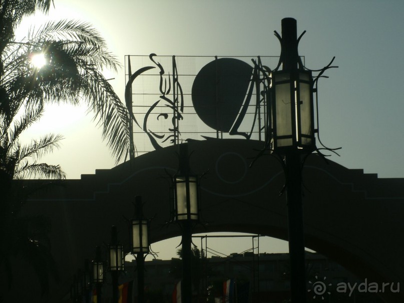 А мы в восторге