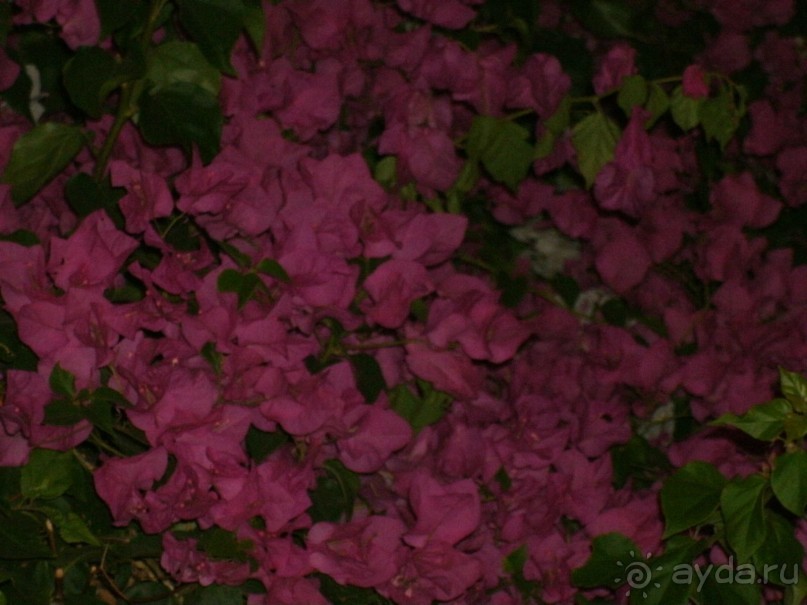 А мы в восторге