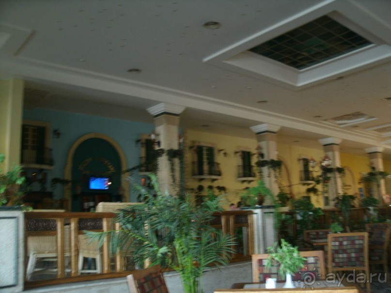 А мы в восторге