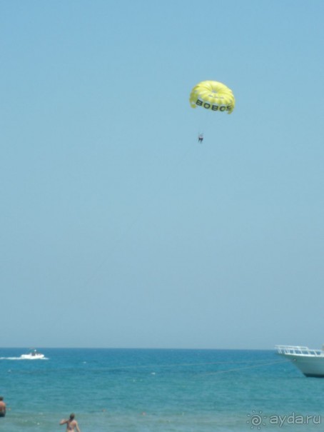 А мы в восторге