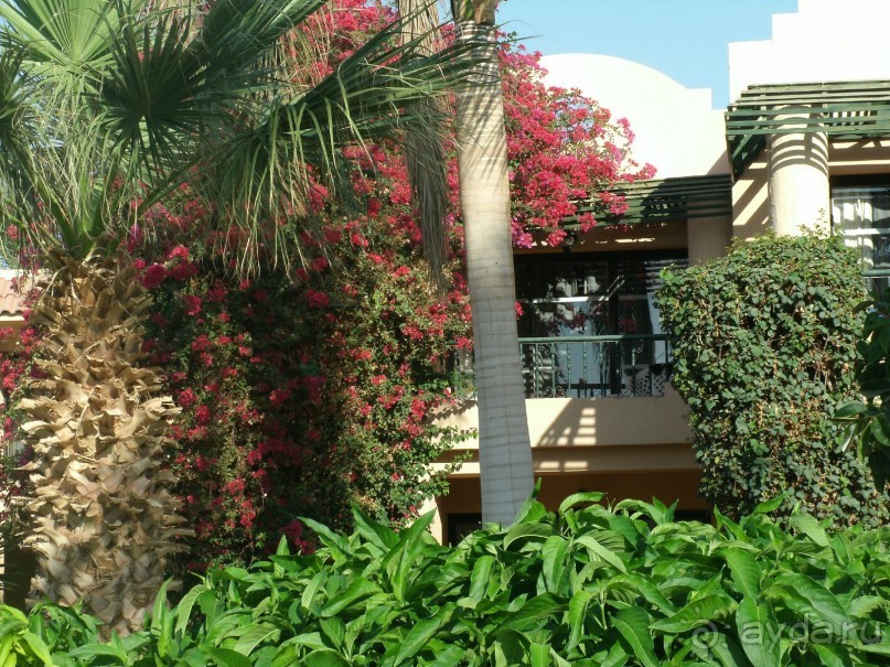 А мы в восторге