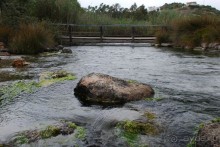 фото Almiros Beach