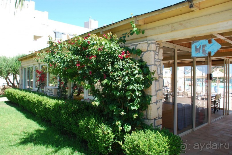 Была приятно удивлена