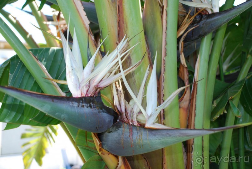 Была приятно удивлена