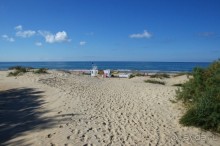 фото Дюны золотые