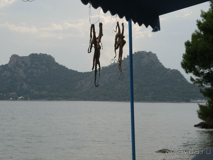 п-в халкидики-"жемчужина греции"