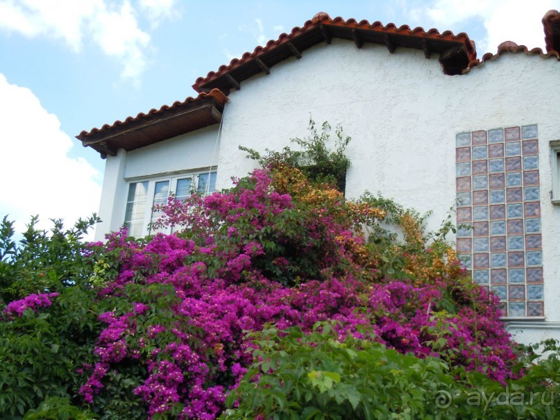 п-в халкидики-"жемчужина греции"