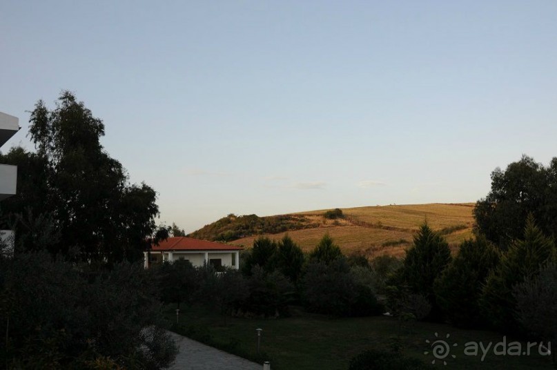 Советую прочесть всем, кто выбрал Грецию