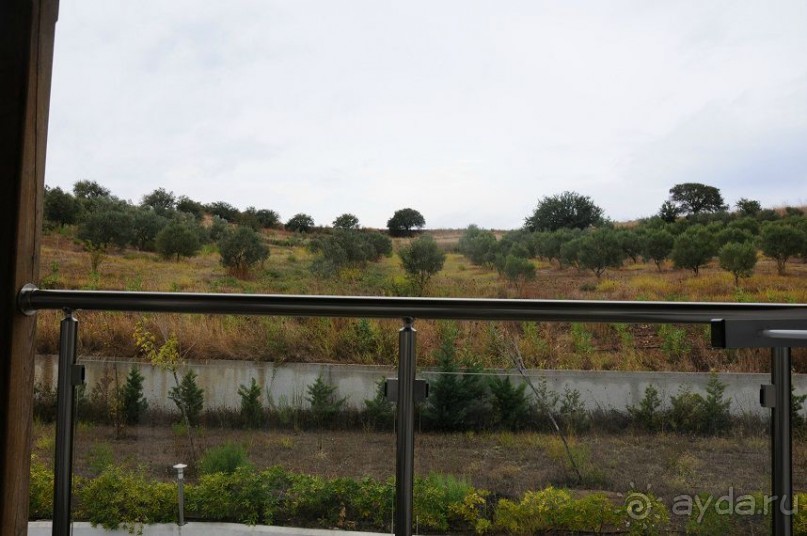 Советую прочесть всем, кто выбрал Грецию