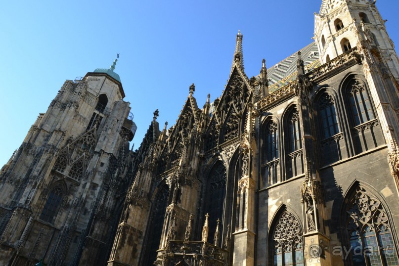 Поездка в Италию.