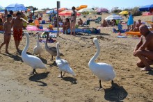 Поездка в Италию.