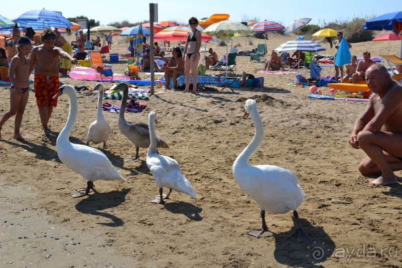 Поездка в Италию.