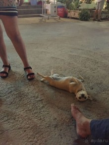 Родос .Колимбия.