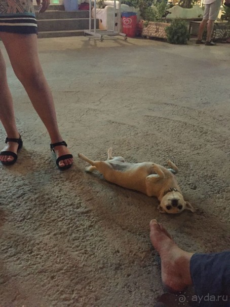 Родос .Колимбия.