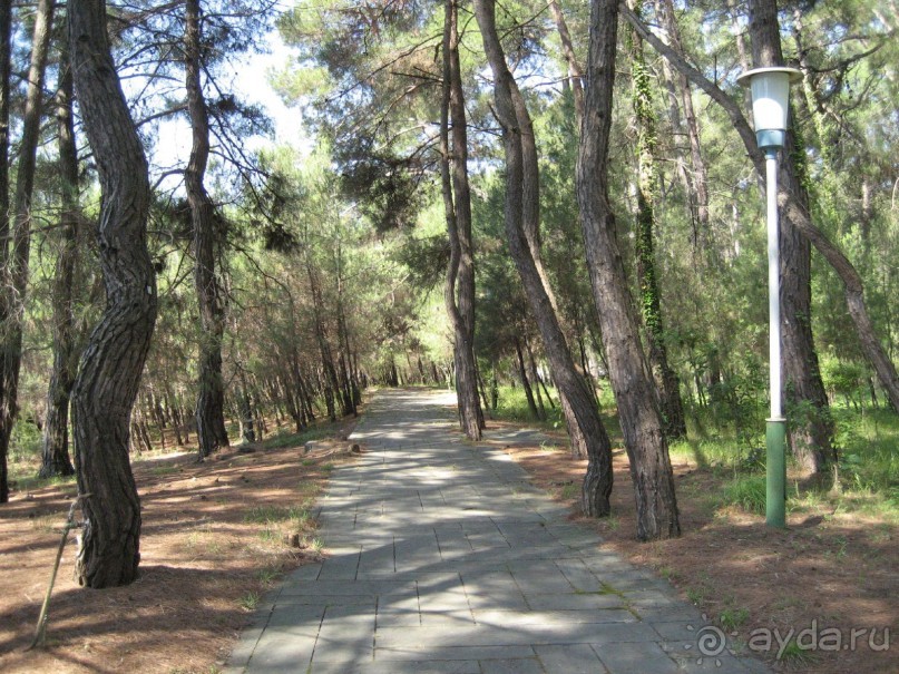 Территория Госдачи