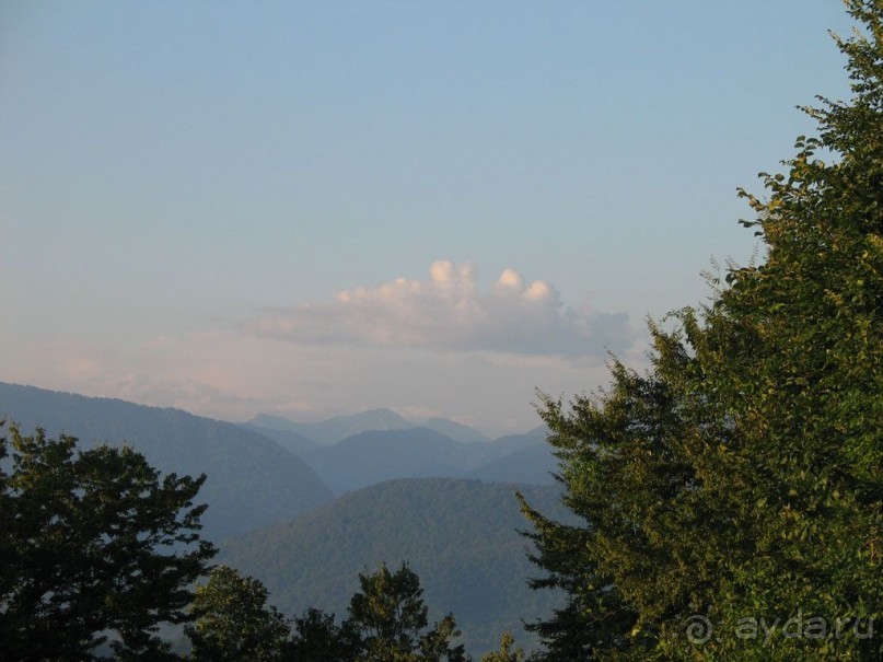 Природа Абхазии