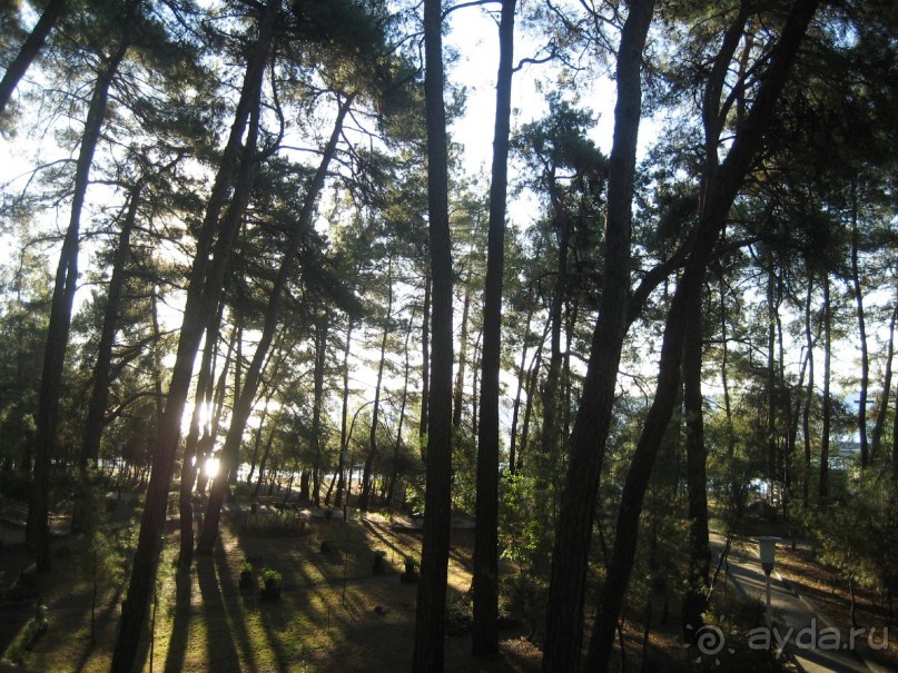 Отдых удался