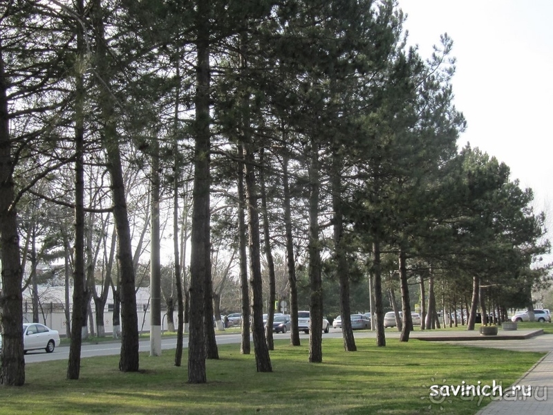 Анапа. Пионерский проспект.