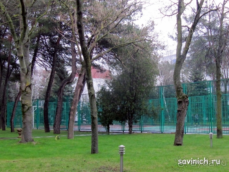Санаторий "Родник" Анапа Краснодарский край