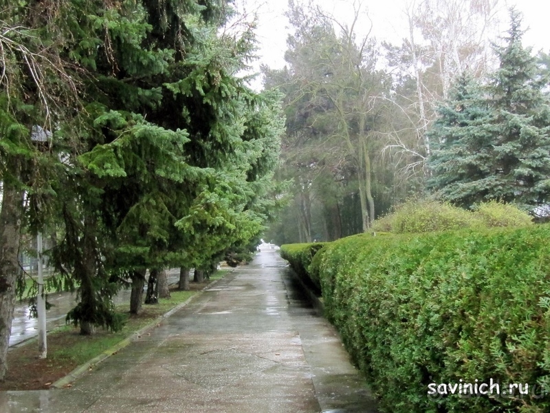 Санаторий "Родник" Анапа Краснодарский край