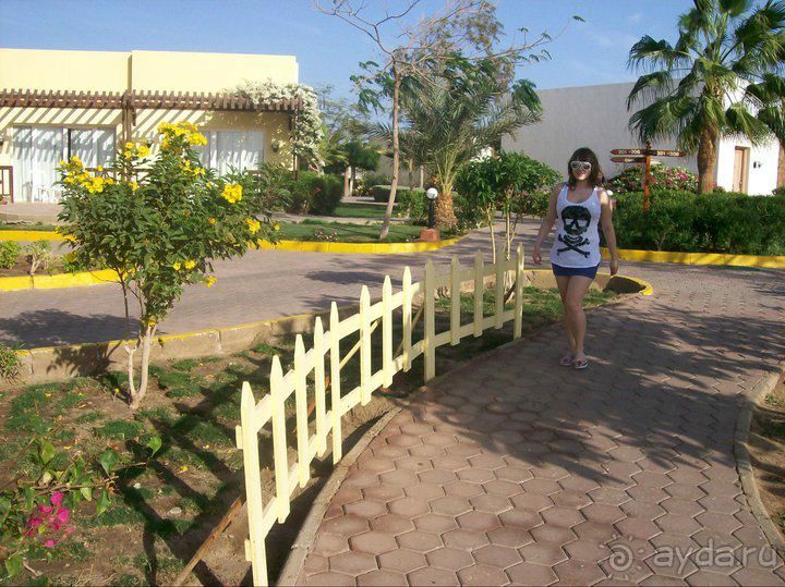 Новый Год в Best Western