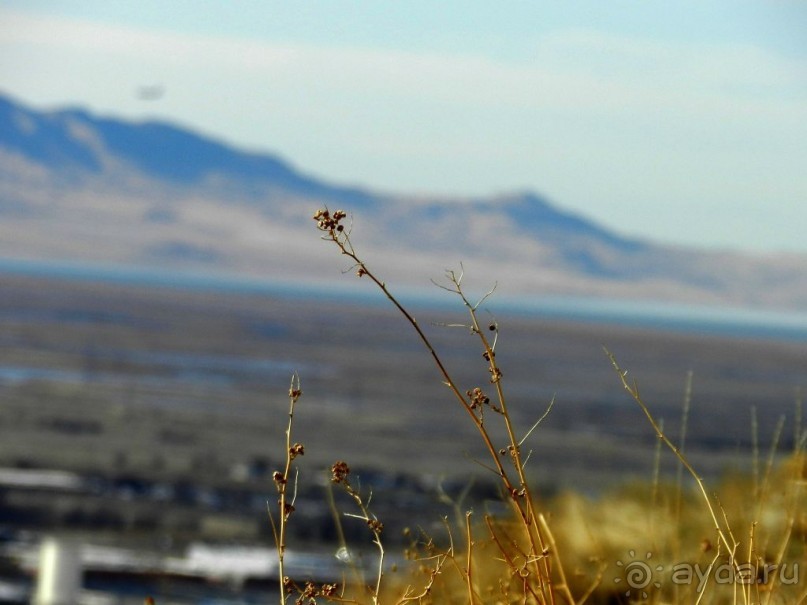 The best from the US