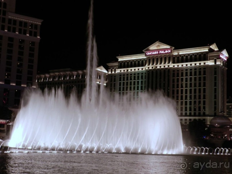 The best from the US