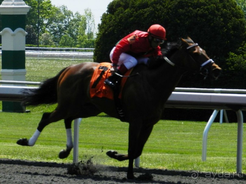 The best from the US