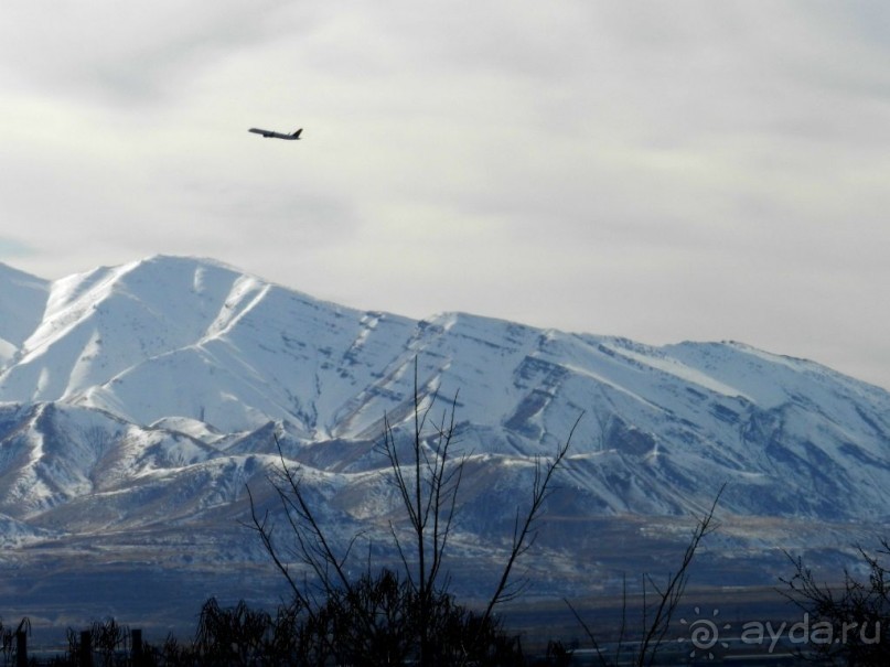 The best from the US