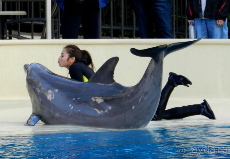 The best from the US