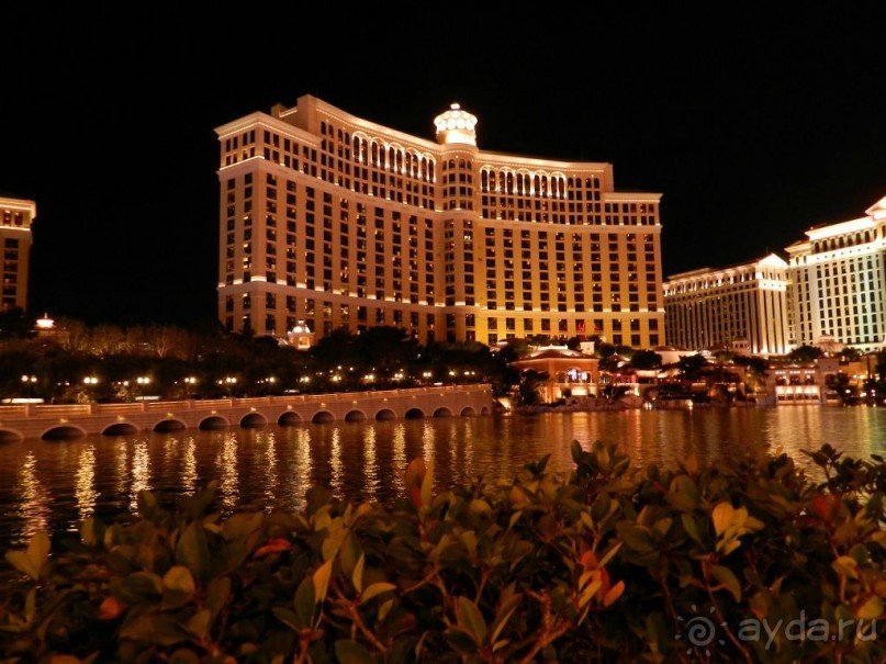 The best from the US