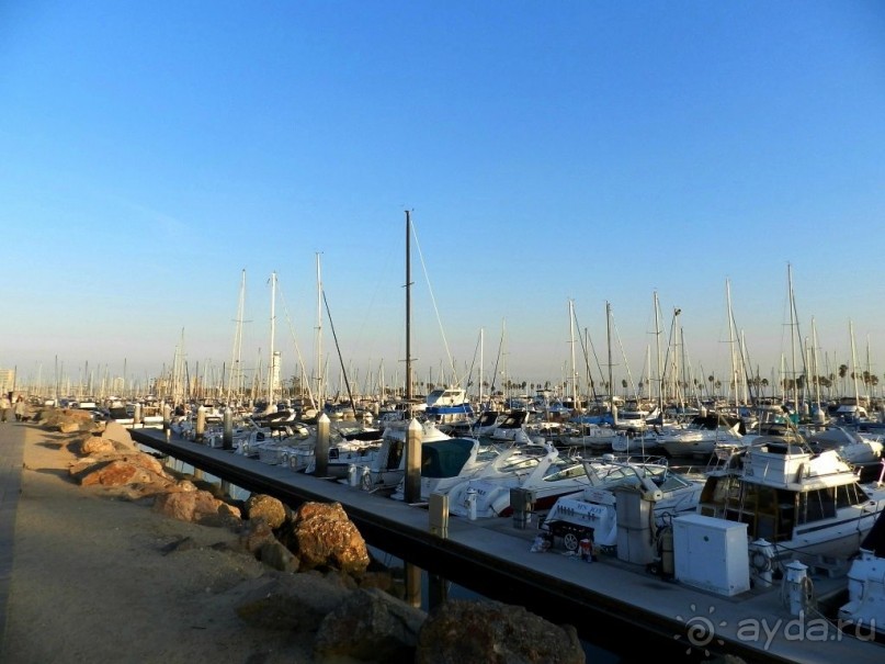 The best from the US