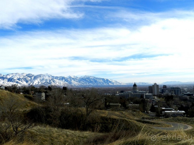 The best from the US