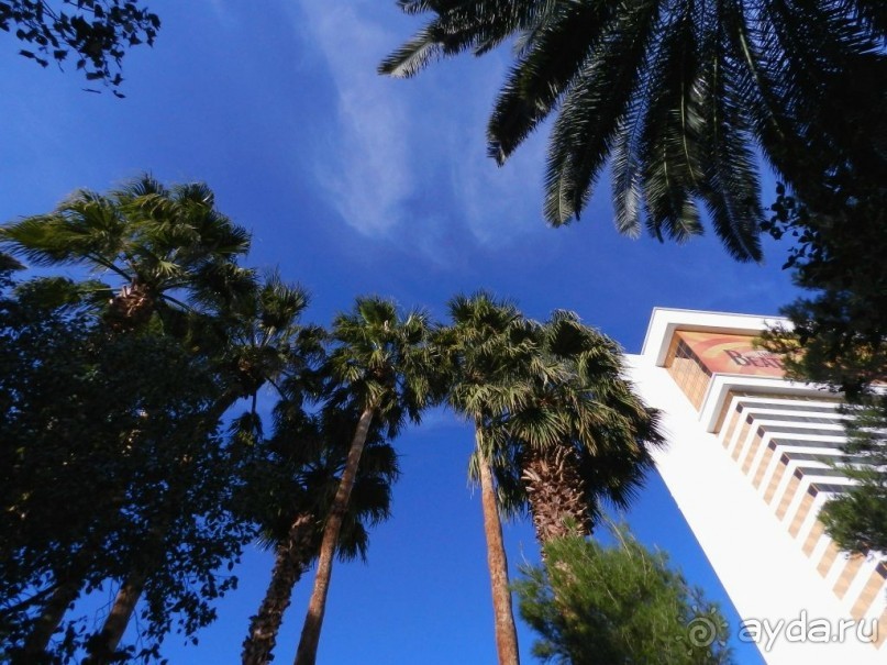 The best from the US