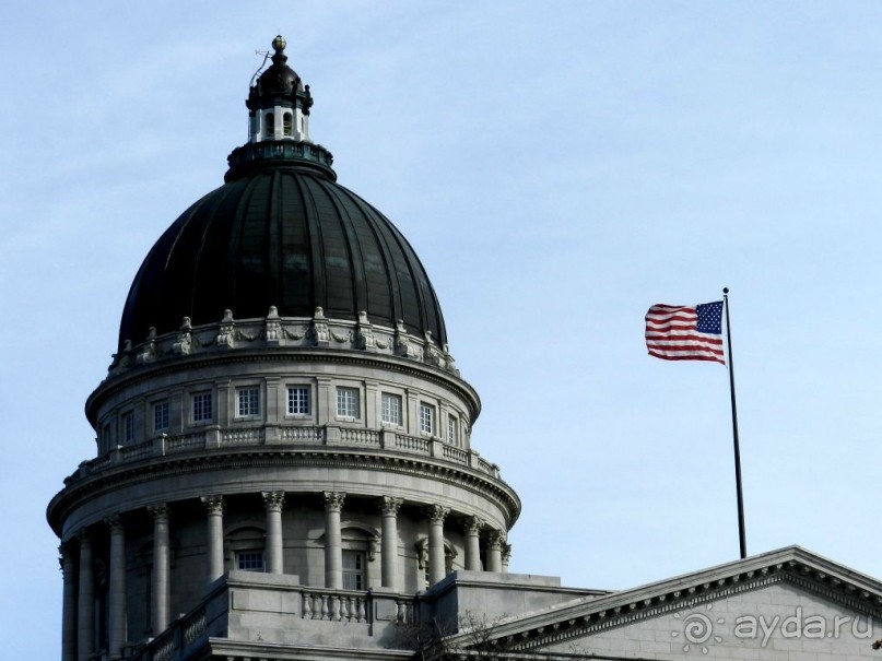 The best from the US