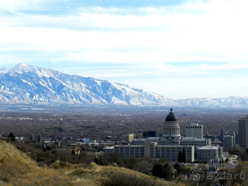 The best from the US