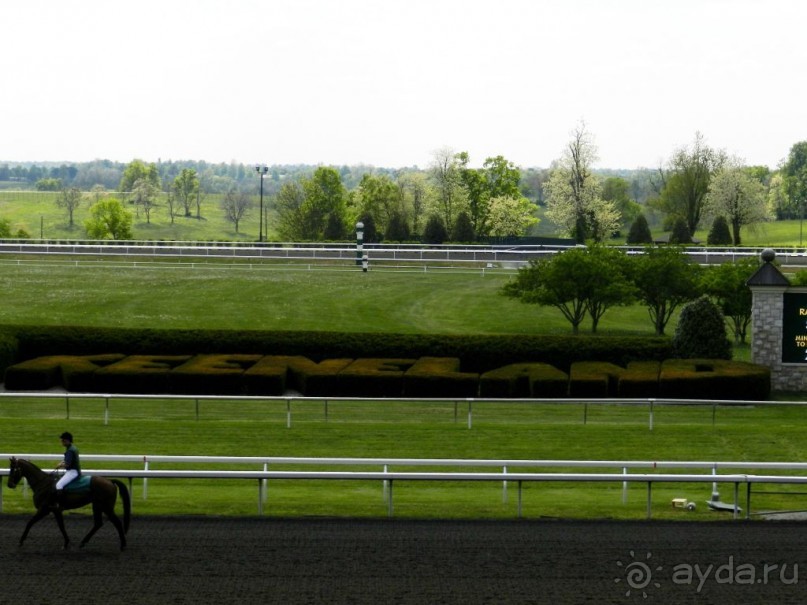 The best from the US