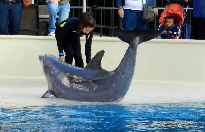 The best from the US