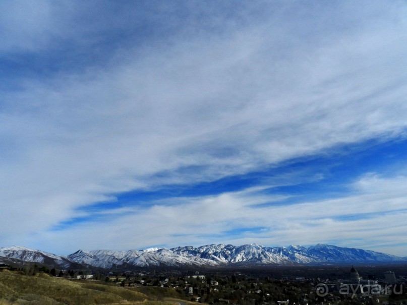 The best from the US