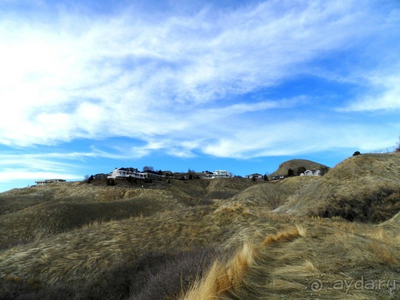 The best from the US