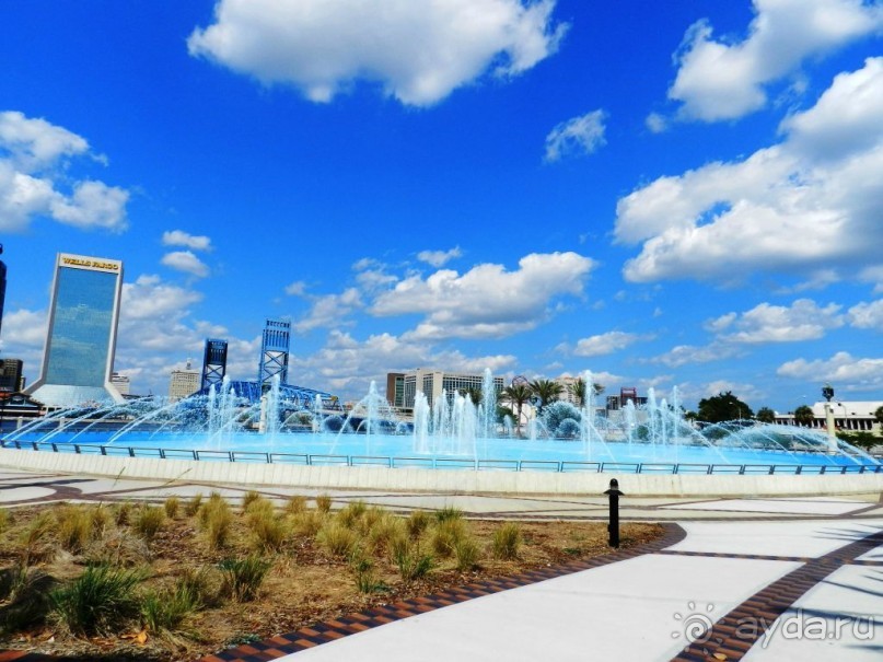 The best from the US