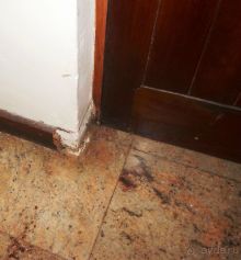 фото Coconut Creek