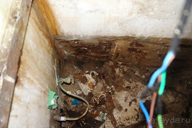 Ужасный отель