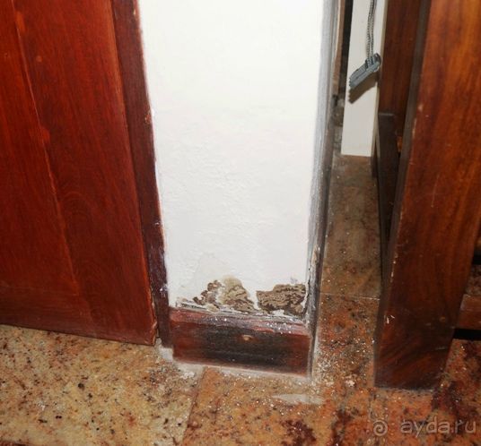 Ужасный отель