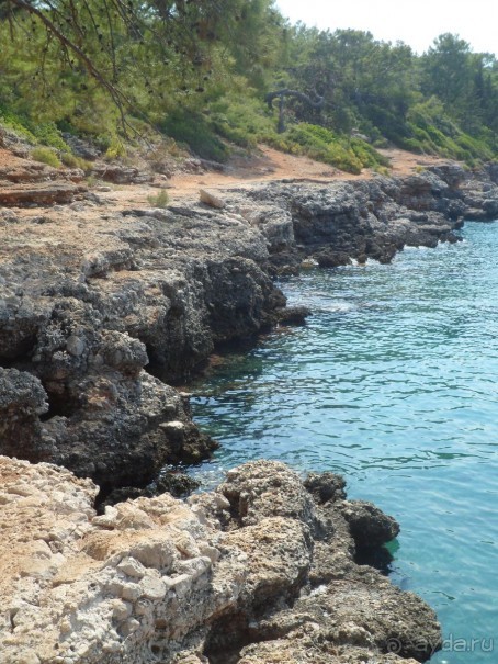 Каждому своё..........