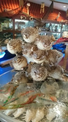 Морские экскурсии из Хургады. Фотоотчет.