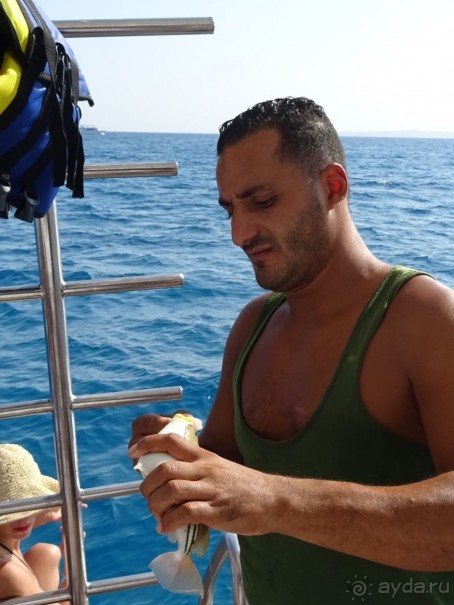 Морские экскурсии из Хургады. Фотоотчет.